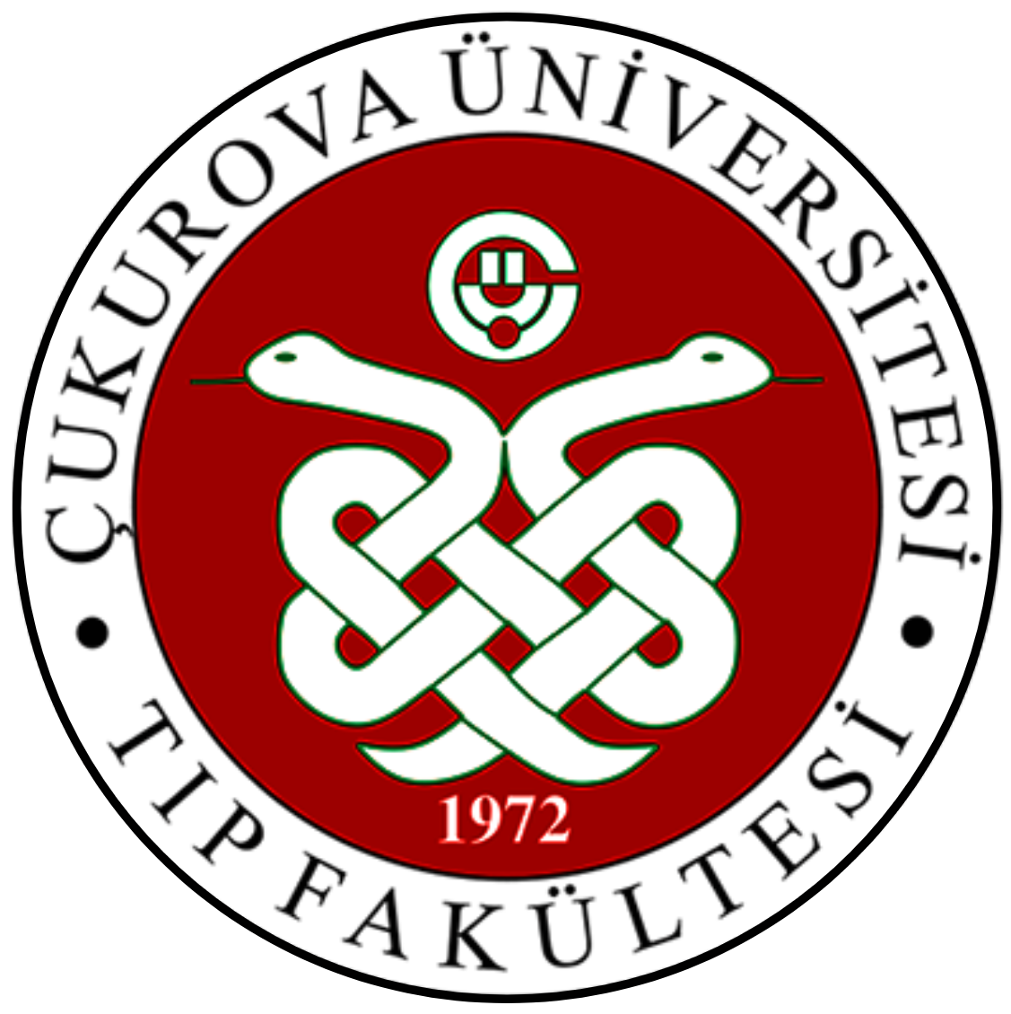 Sağ Logo